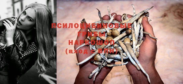 спайс Алексеевка