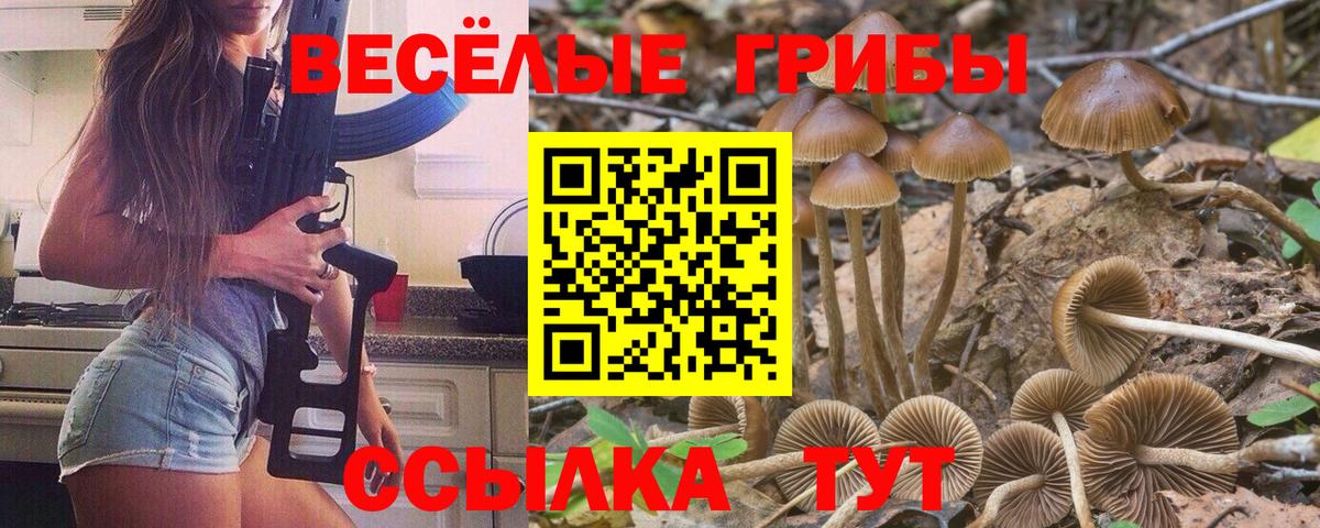 Подольск  Галлюциногенные грибы GOLDEN TEACHER  Вход с VPN 
